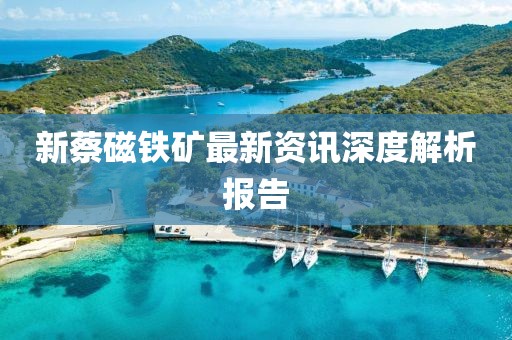 新蔡磁铁矿最新资讯深度解析报告