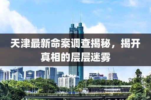 天津最新命案调查揭秘，揭开真相的层层迷雾
