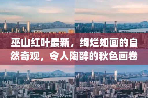 加勒比海带 第18页