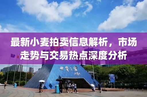 最新小麦拍卖信息解析，市场走势与交易热点深度分析