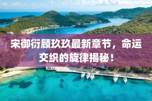 宋御衍顾玖玖最新章节，命运交织的旋律揭秘！