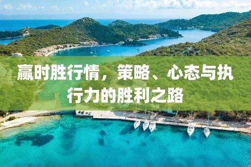 赢时胜行情，策略、心态与执行力的胜利之路