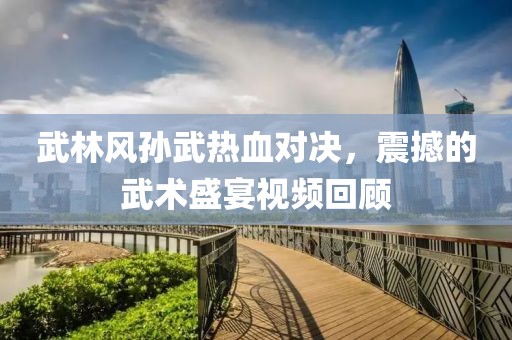 武林风孙武热血对决，震撼的武术盛宴视频回顾