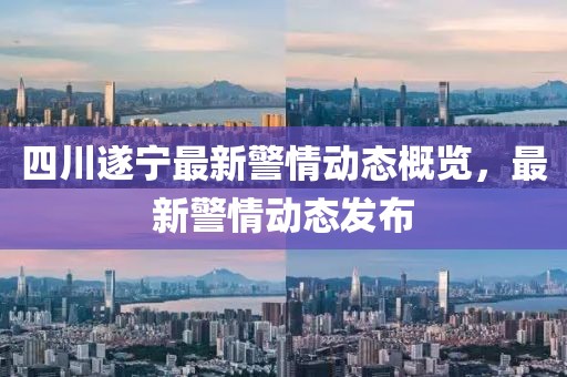 四川遂宁最新警情动态概览，最新警情动态发布