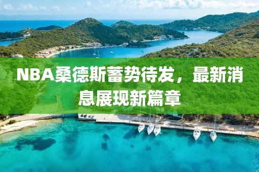 NBA桑德斯蓄势待发，最新消息展现新篇章