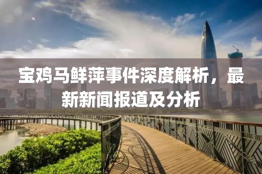宝鸡马鲜萍事件深度解析，最新新闻报道及分析