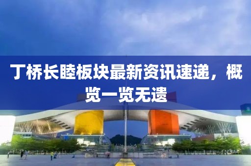 丁桥长睦板块最新资讯速递，概览一览无遗