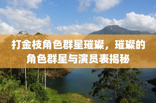 打金枝角色群星璀璨，璀璨的角色群星与演员表揭秘