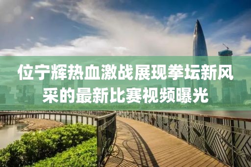 位宁辉热血激战展现拳坛新风采的最新比赛视频曝光