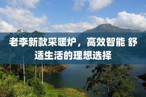 老李新款采暖炉，高效智能 舒适生活的理想选择