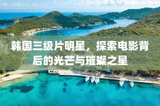 韩国三级片明星，探索电影背后的光芒与璀璨之星