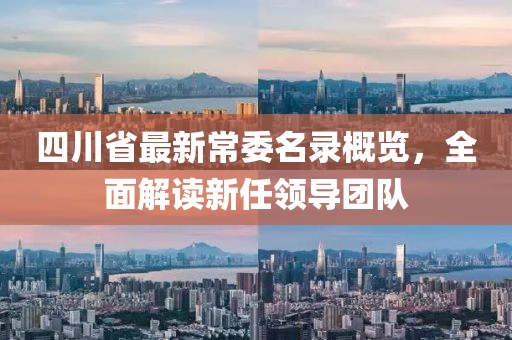 四川省最新常委名录概览，全面解读新任领导团队