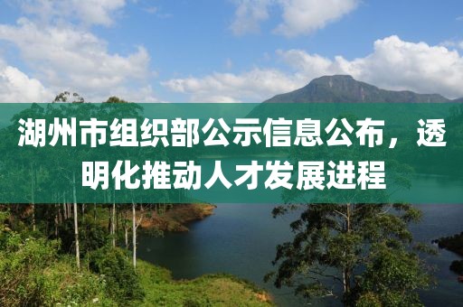 湖州市组织部公示信息公布，透明化推动人才发展进程