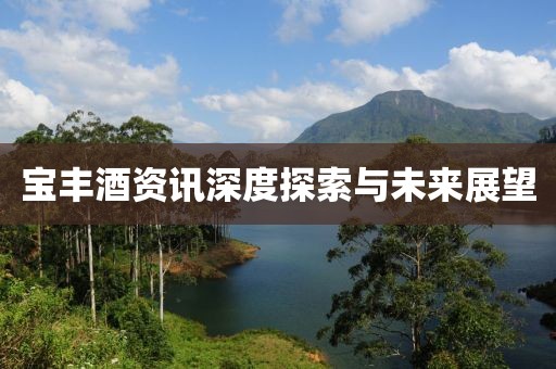 宝丰酒资讯深度探索与未来展望