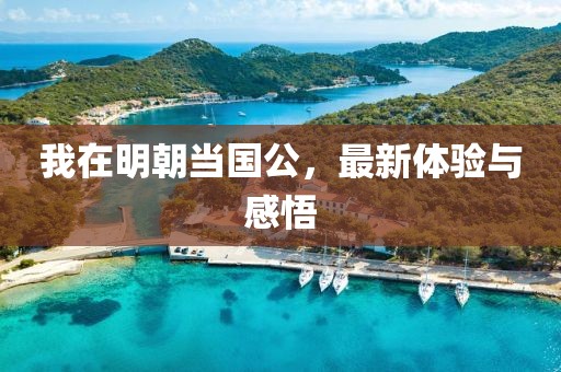 我在明朝当国公，最新体验与感悟