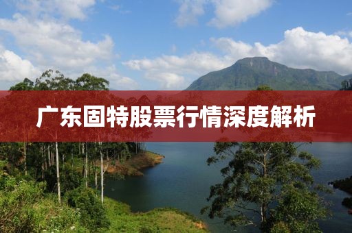 广东固特股票行情深度解析