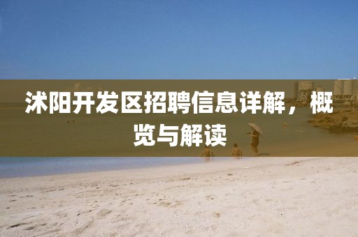 沭阳开发区招聘信息详解，概览与解读
