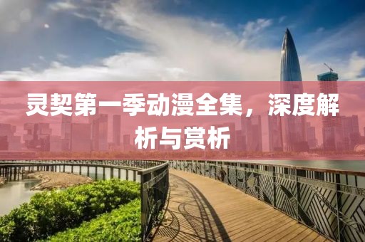 灵契第一季动漫全集，深度解析与赏析