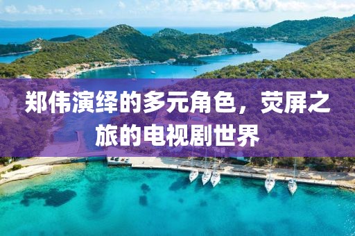郑伟演绎的多元角色，荧屏之旅的电视剧世界