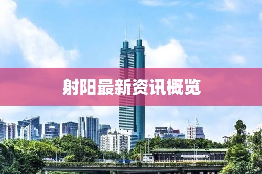 射阳最新资讯概览