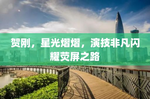 贺刚，星光熠熠，演技非凡闪耀荧屏之路