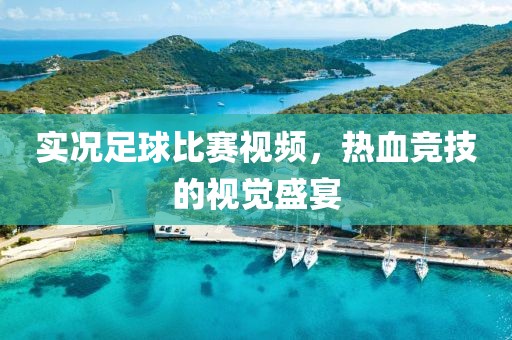 实况足球比赛视频，热血竞技的视觉盛宴