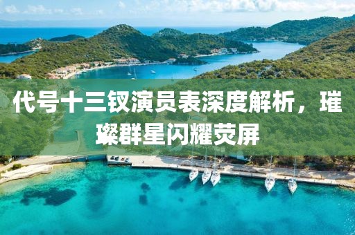 代号十三钗演员表深度解析，璀璨群星闪耀荧屏