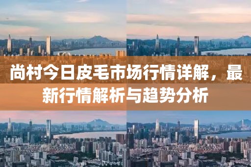 尚村今日皮毛市场行情详解，最新行情解析与趋势分析