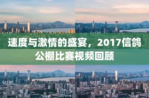 速度与激情的盛宴，2017信鸽公棚比赛视频回顾
