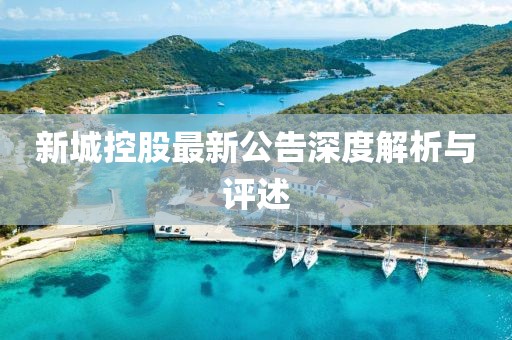 新城控股最新公告深度解析与评述