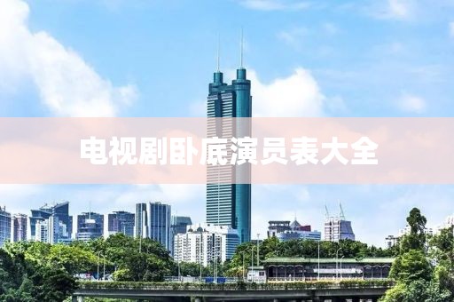 电视剧卧底演员表大全