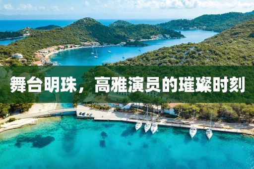 舞台明珠，高雅演员的璀璨时刻