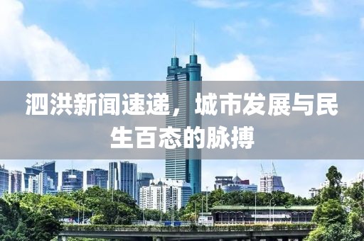 泗洪新闻速递，城市发展与民生百态的脉搏