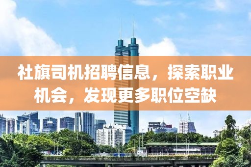 社旗司机招聘信息，探索职业机会，发现更多职位空缺