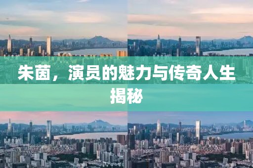 朱茵，演员的魅力与传奇人生揭秘