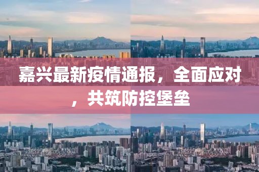嘉兴最新疫情通报，全面应对，共筑防控堡垒
