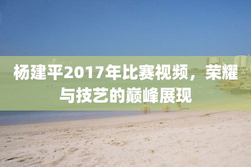 杨建平2017年比赛视频，荣耀与技艺的巅峰展现