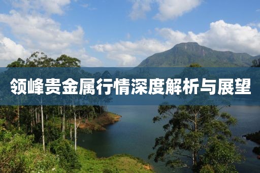 领峰贵金属行情深度解析与展望