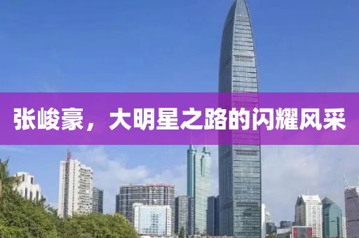 张峻豪，大明星之路的闪耀风采
