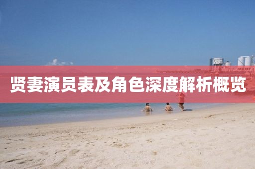贤妻演员表及角色深度解析概览
