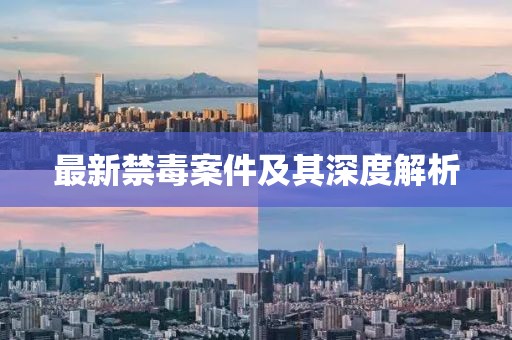 最新禁毒案件及其深度解析