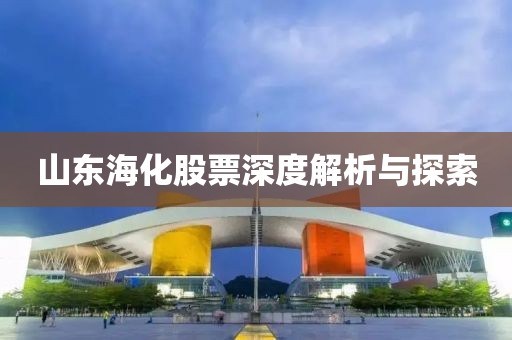 山东海化股票深度解析与探索