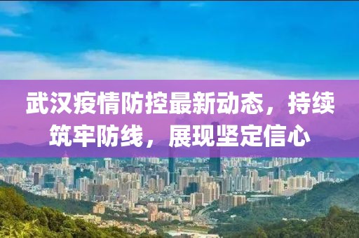 武汉疫情防控最新动态，持续筑牢防线，展现坚定信心
