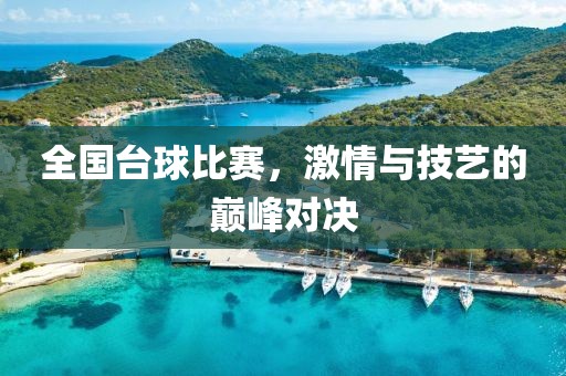 全国台球比赛，激情与技艺的巅峰对决