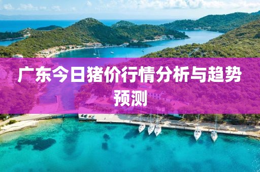 广东今日猪价行情分析与趋势预测