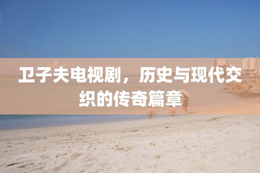 卫子夫电视剧，历史与现代交织的传奇篇章