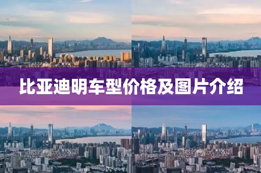 比亚迪明车型价格及图片介绍