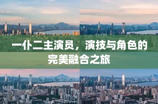 一仆二主演员，演技与角色的完美融合之旅