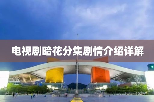 电视剧暗花分集剧情介绍详解
