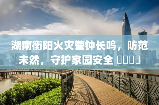 湖南衡阳火灾警钟长鸣，防范未然，守护家园安全 ​​​​
